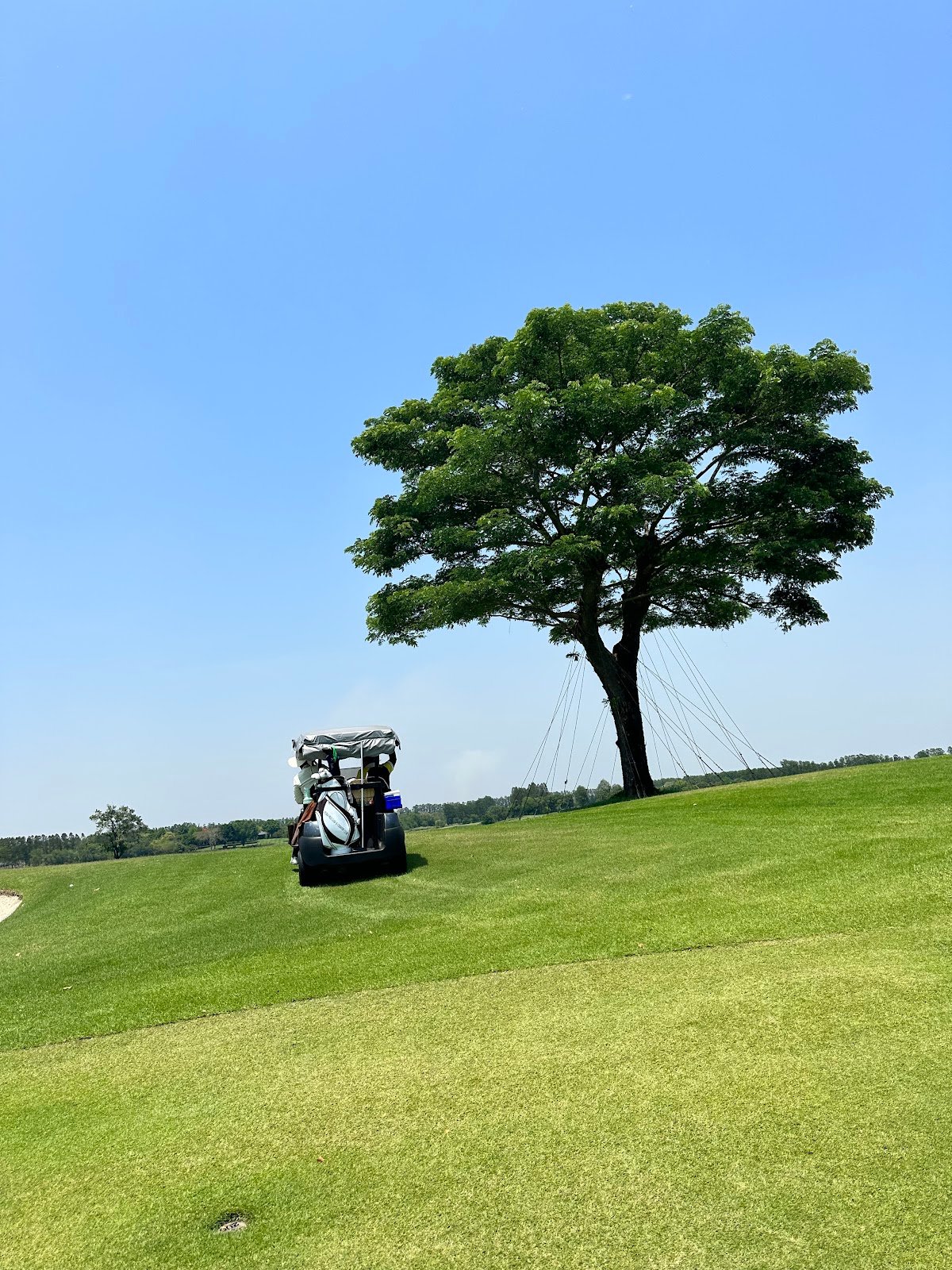Ayodhya Links golf course photo 3