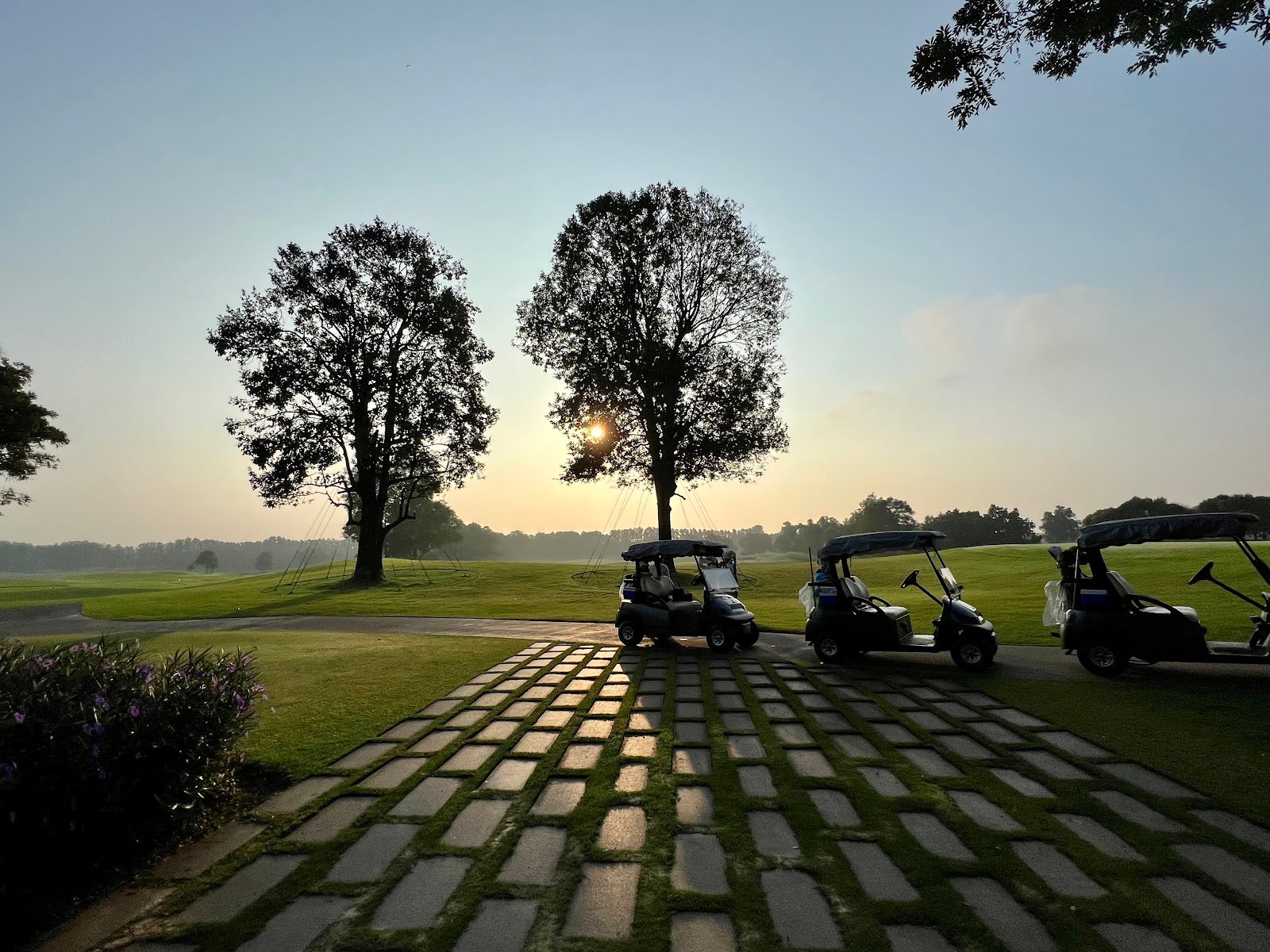 Ayodhya Links golf course photo 8
