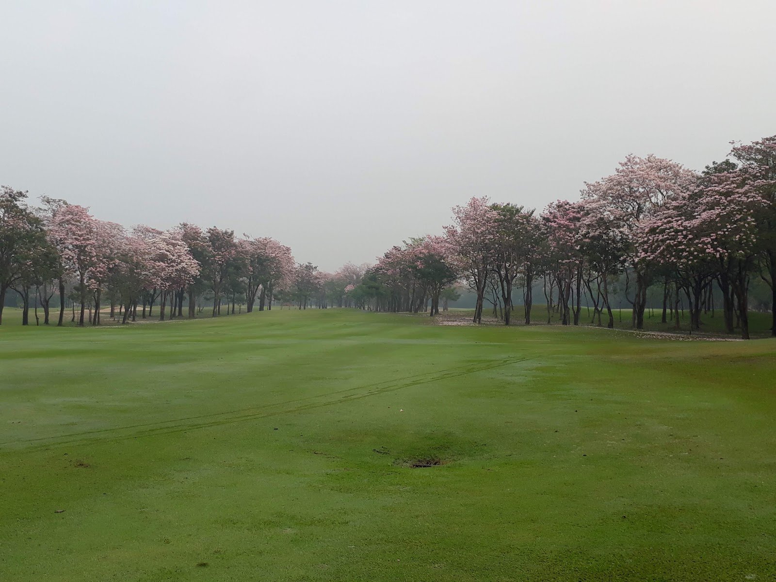Navatanee Golf Course golf course photo 7