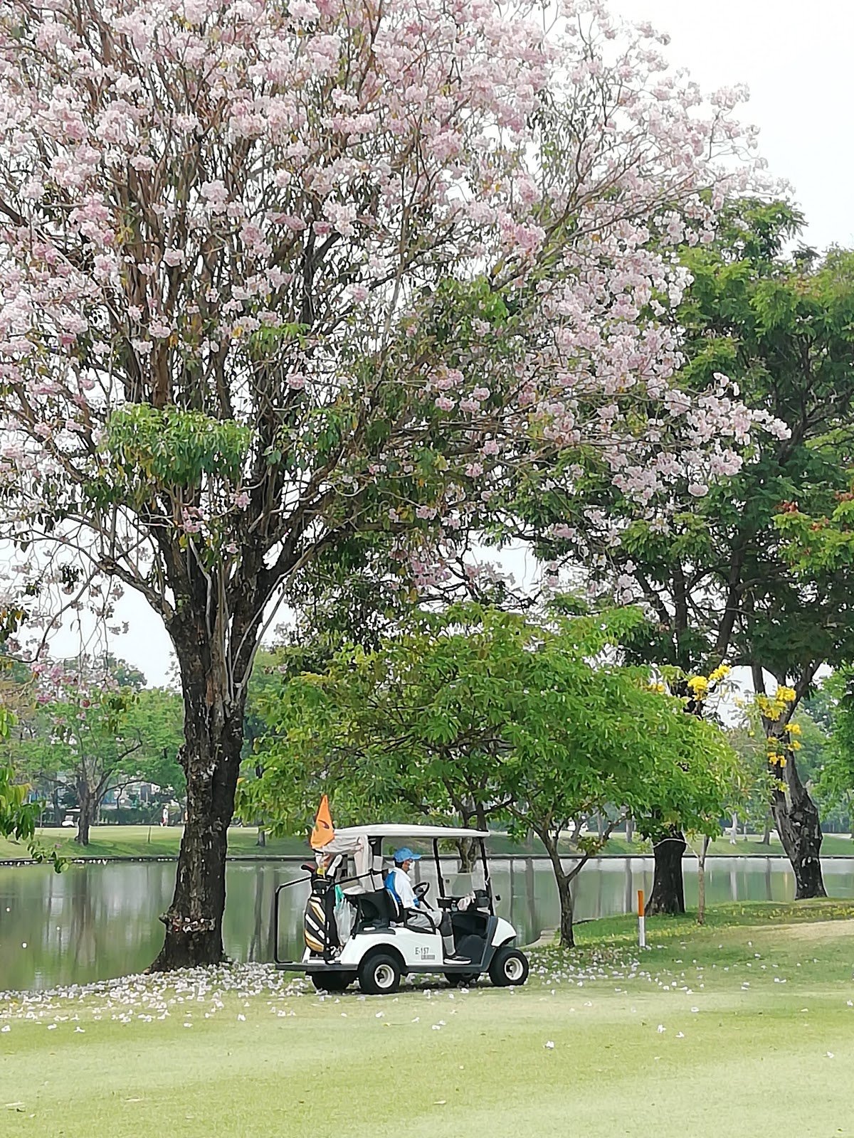 Krungthep Kreetha Sports Club golf course photo 7