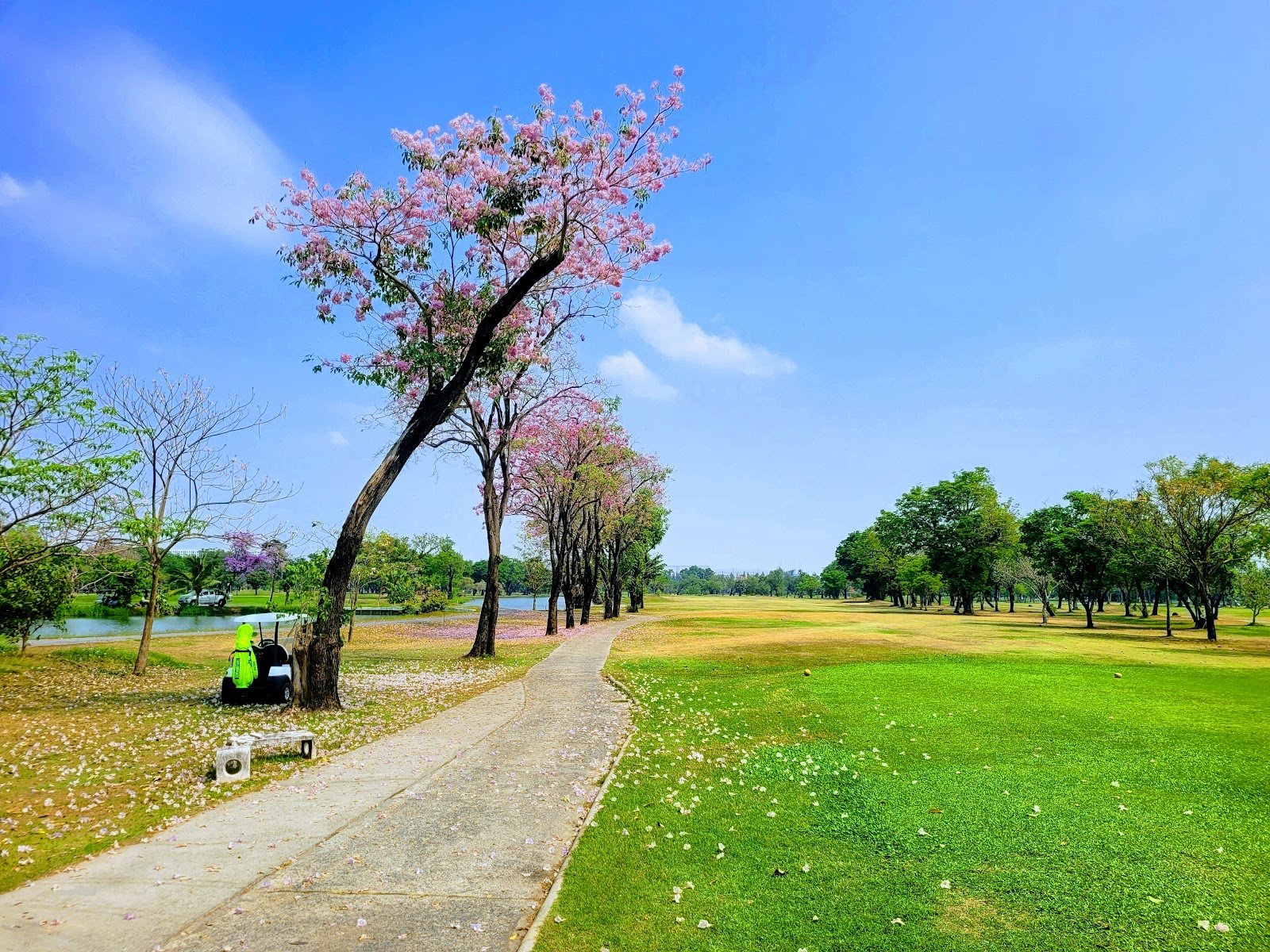 Royal Thai Army Sports Center (New Course) golf course photo 8