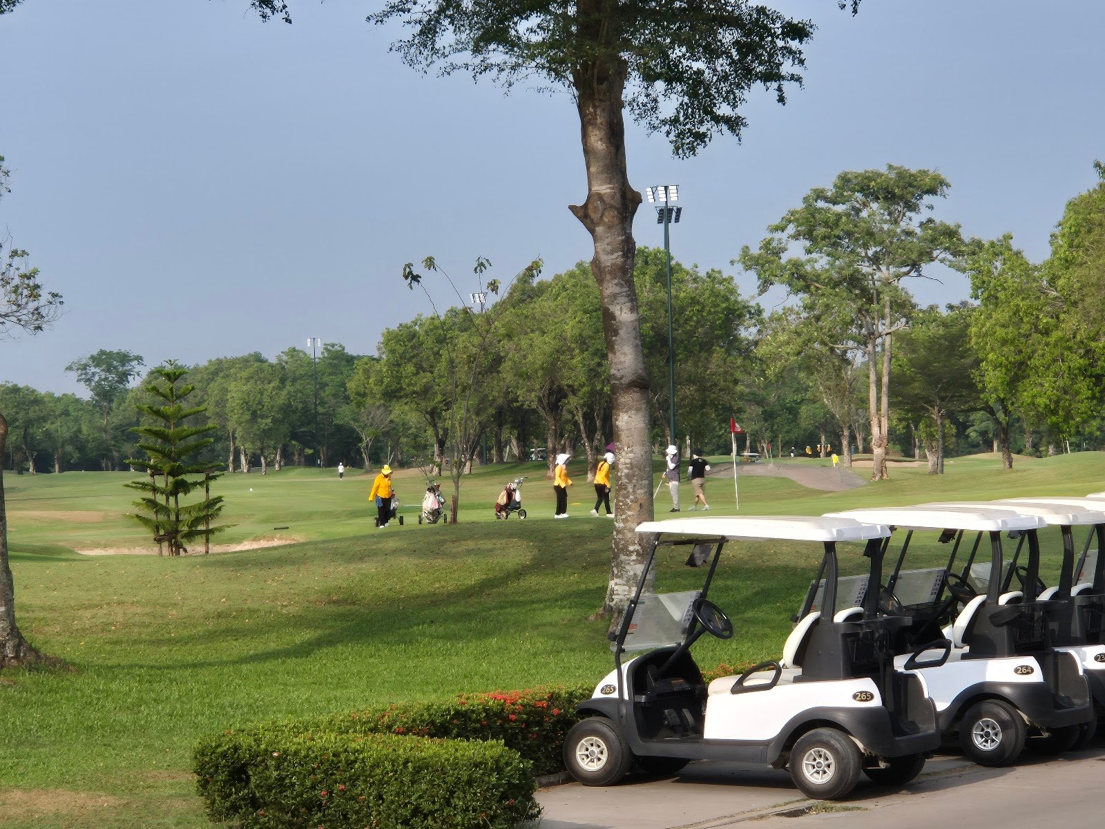 The Pine Golf and Lodge (Nongjok Golf Club) golf course photo 5