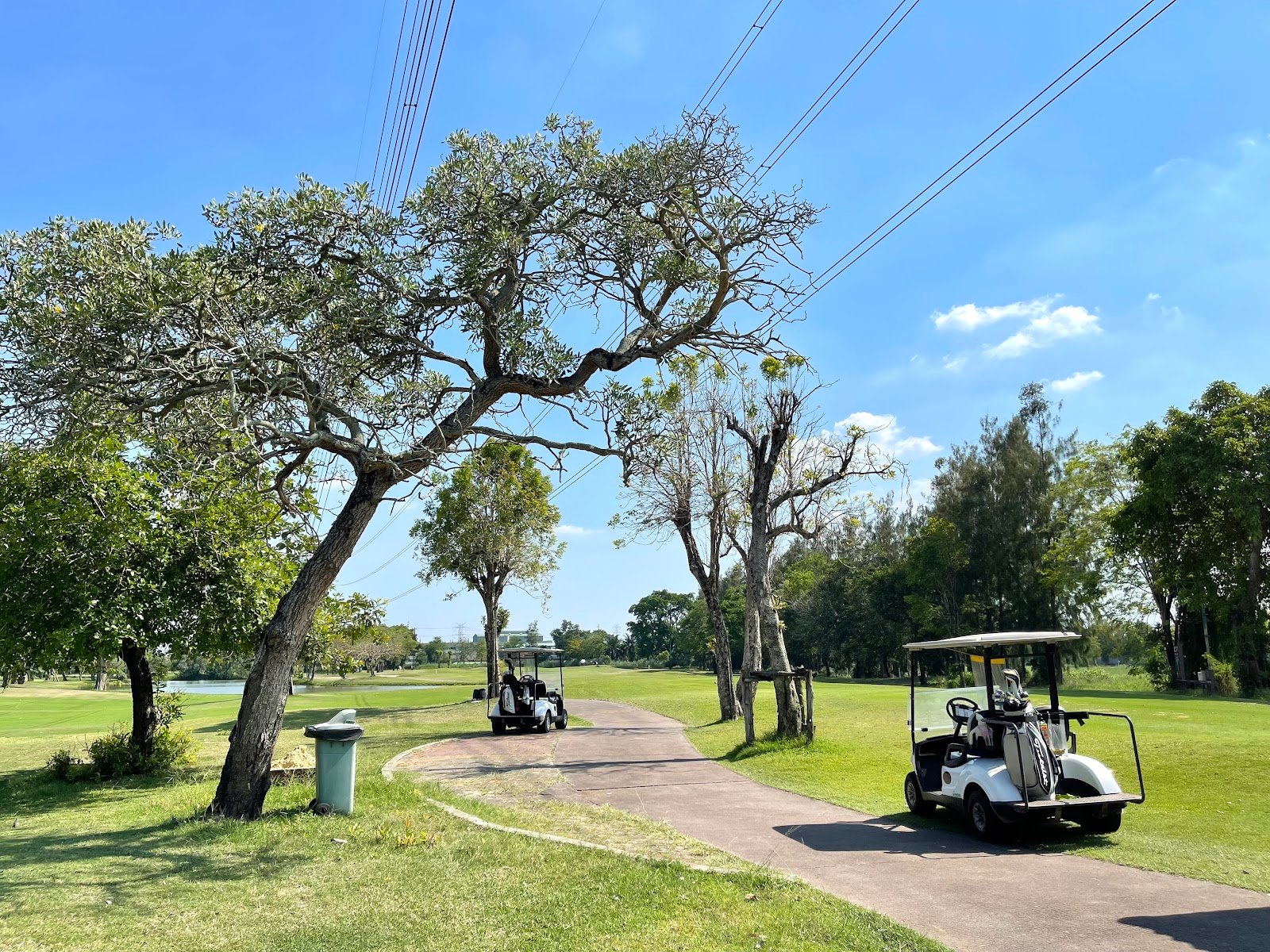 Windsor Park and Golf Club golf course photo 5