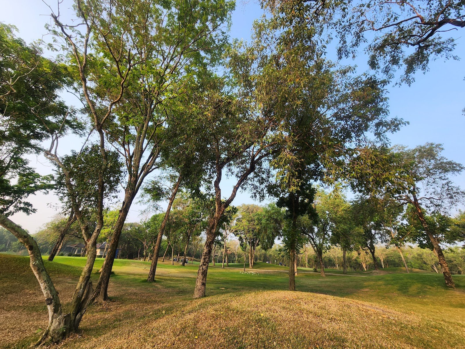 Watermill Golf golf course photo 6