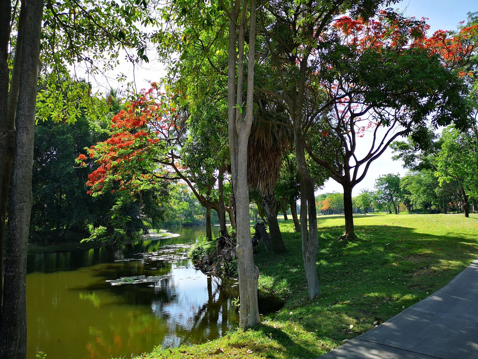 Dynasty Golf and Country Club golf course photo 4