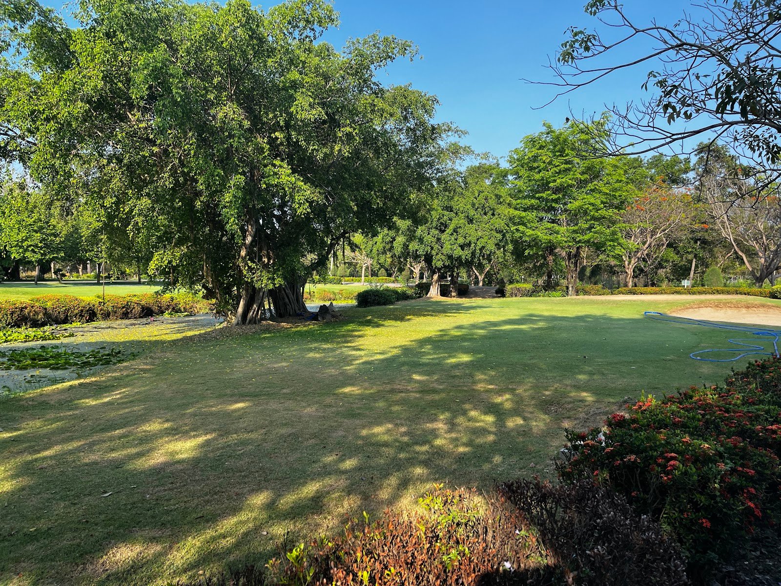 Dynasty Golf and Country Club golf course photo 8