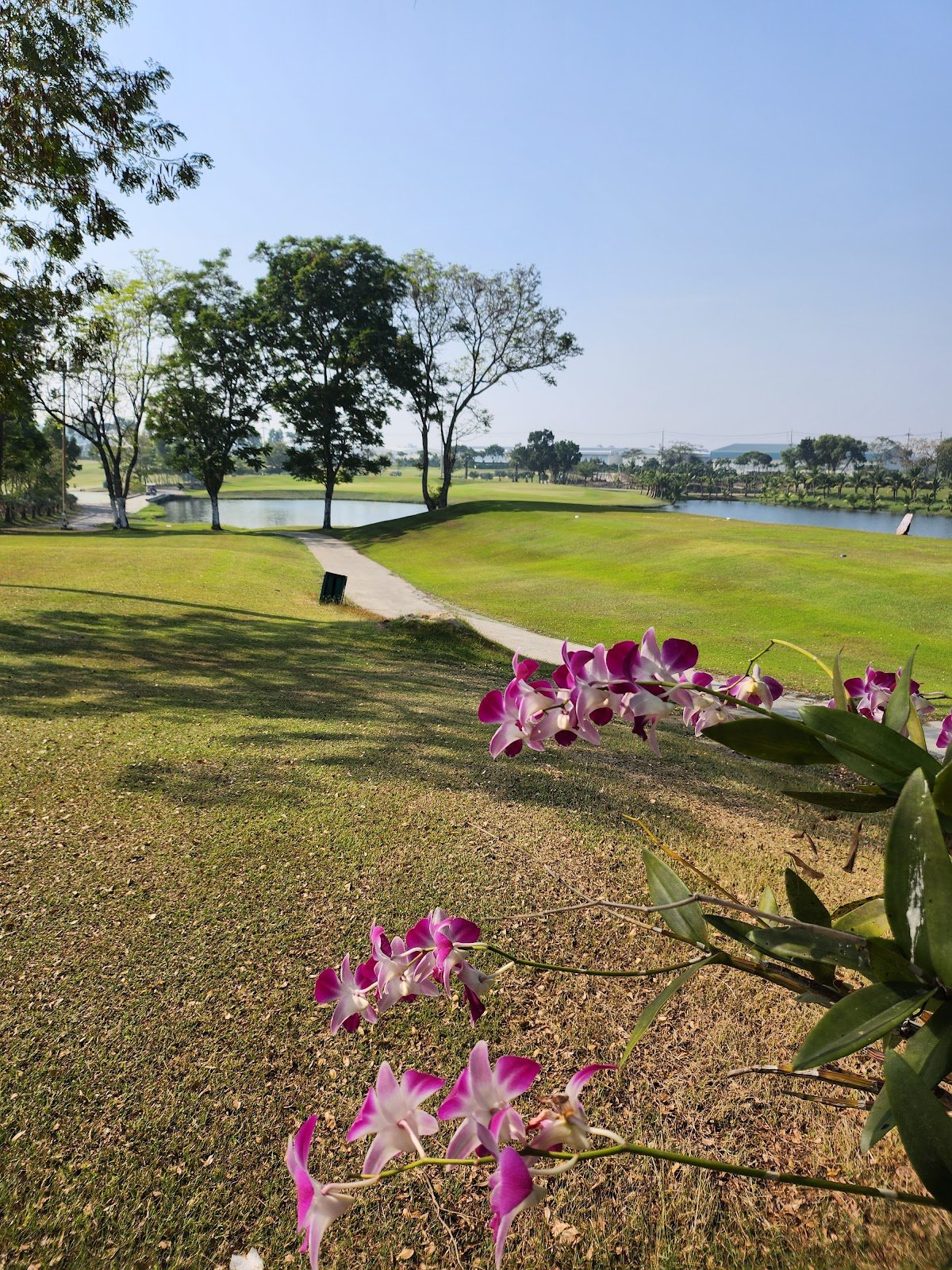 Rose Garden Golf Club golf course photo 6