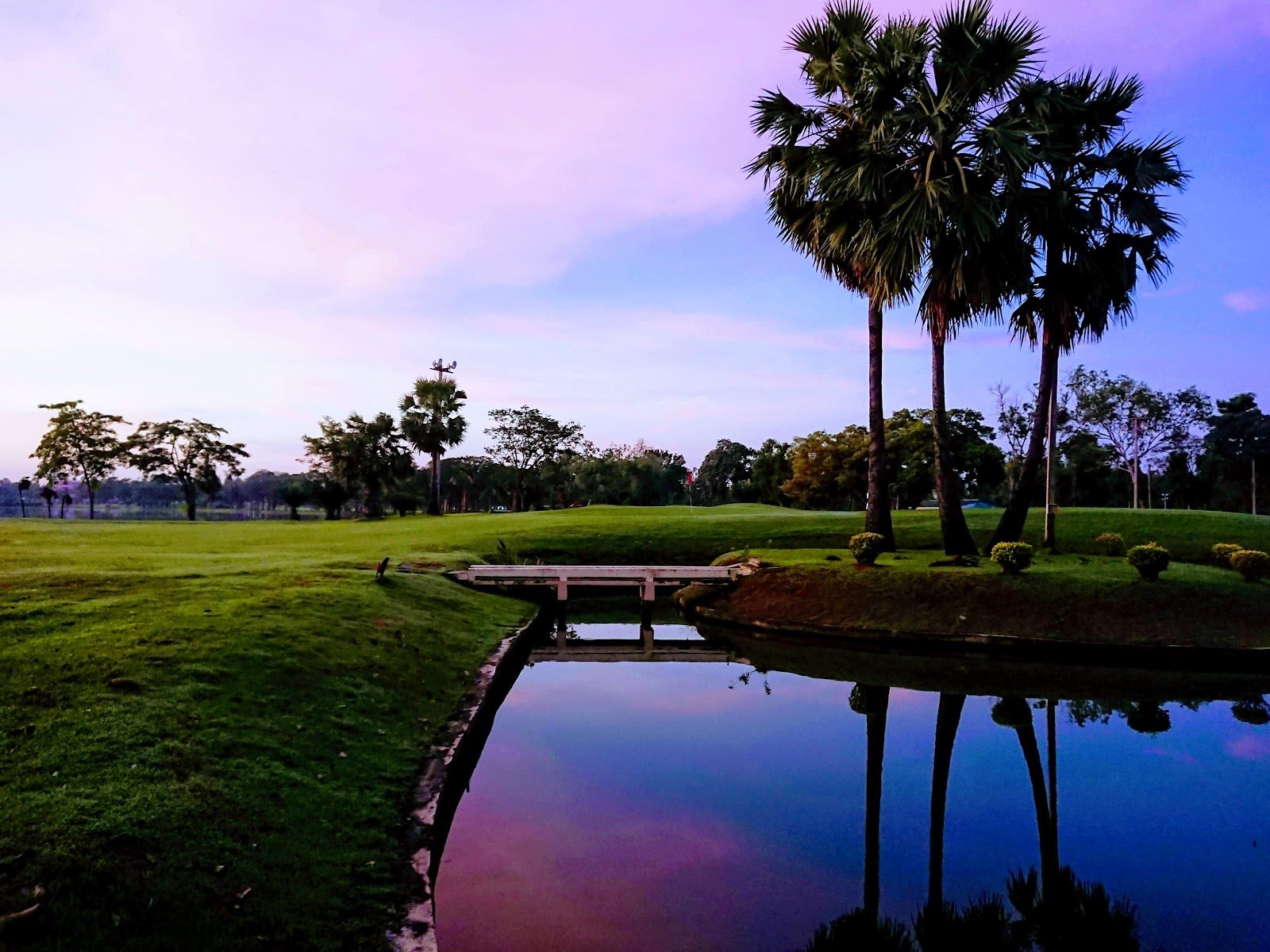 Dhupatemiya Golf Course golf course photo 4