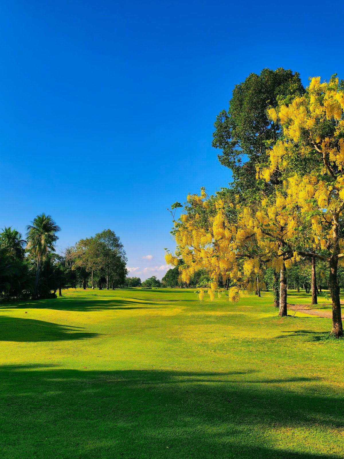 Krung Kavee Golf Course and Country Club golf course photo 2