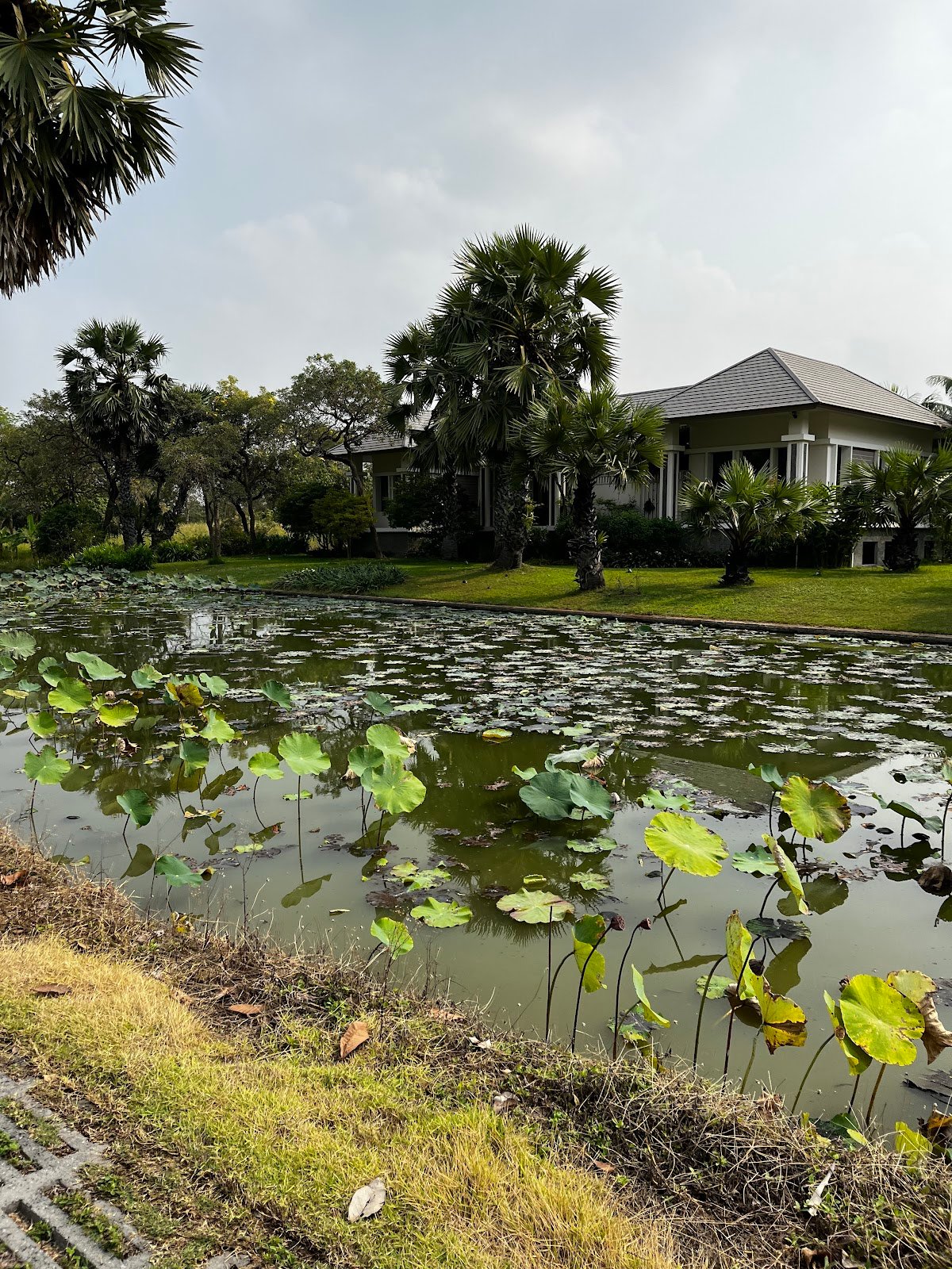 Krung Kavee Golf Course and Country Club golf course photo 7