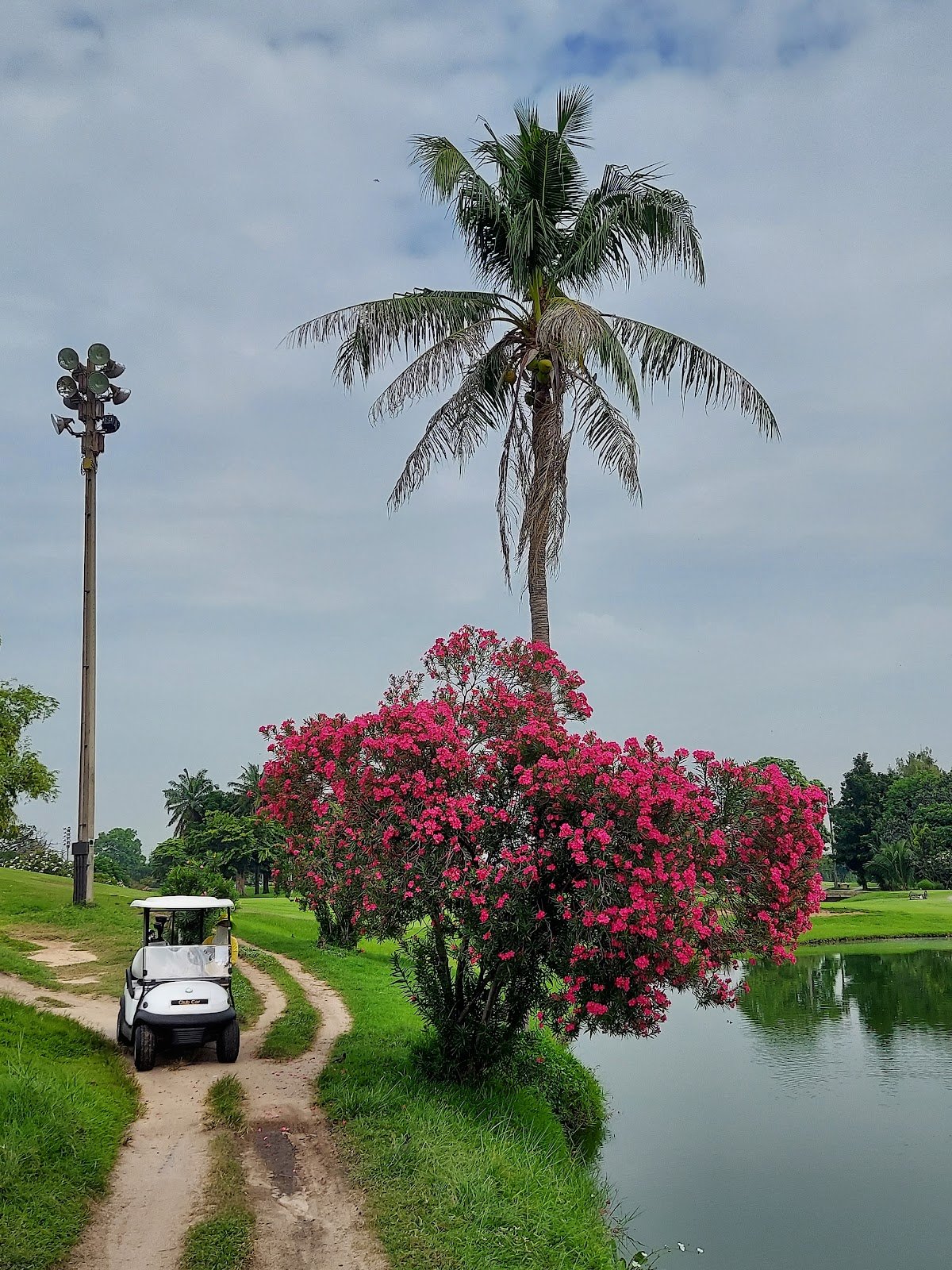 Muang Ake Vista Golf Course golf course photo 8
