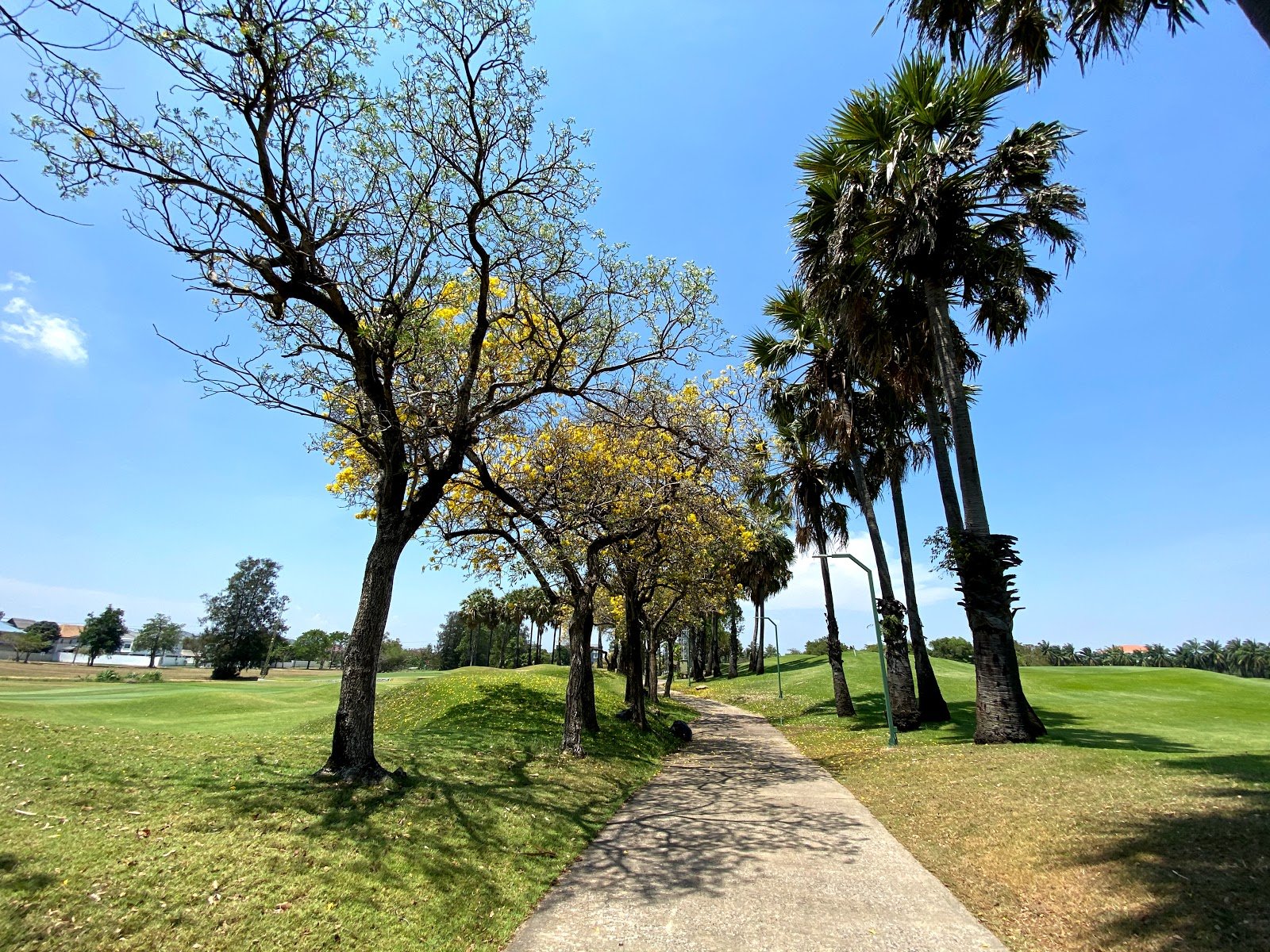 Summit Windmill Golf Club golf course photo 6