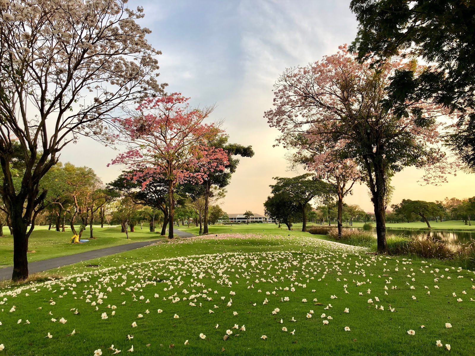 The Royal Golf and Country Club golf course photo 5