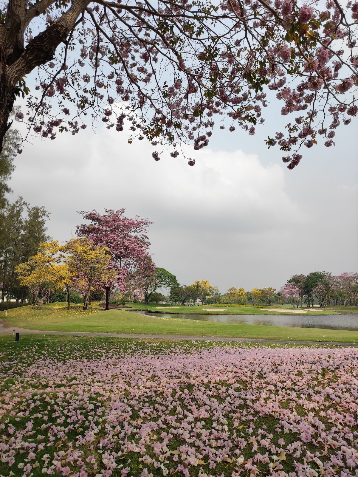 The Royal Golf and Country Club golf course photo 8