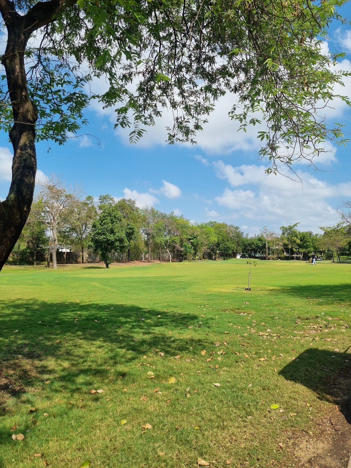 The Vintage Club golf course photo 4