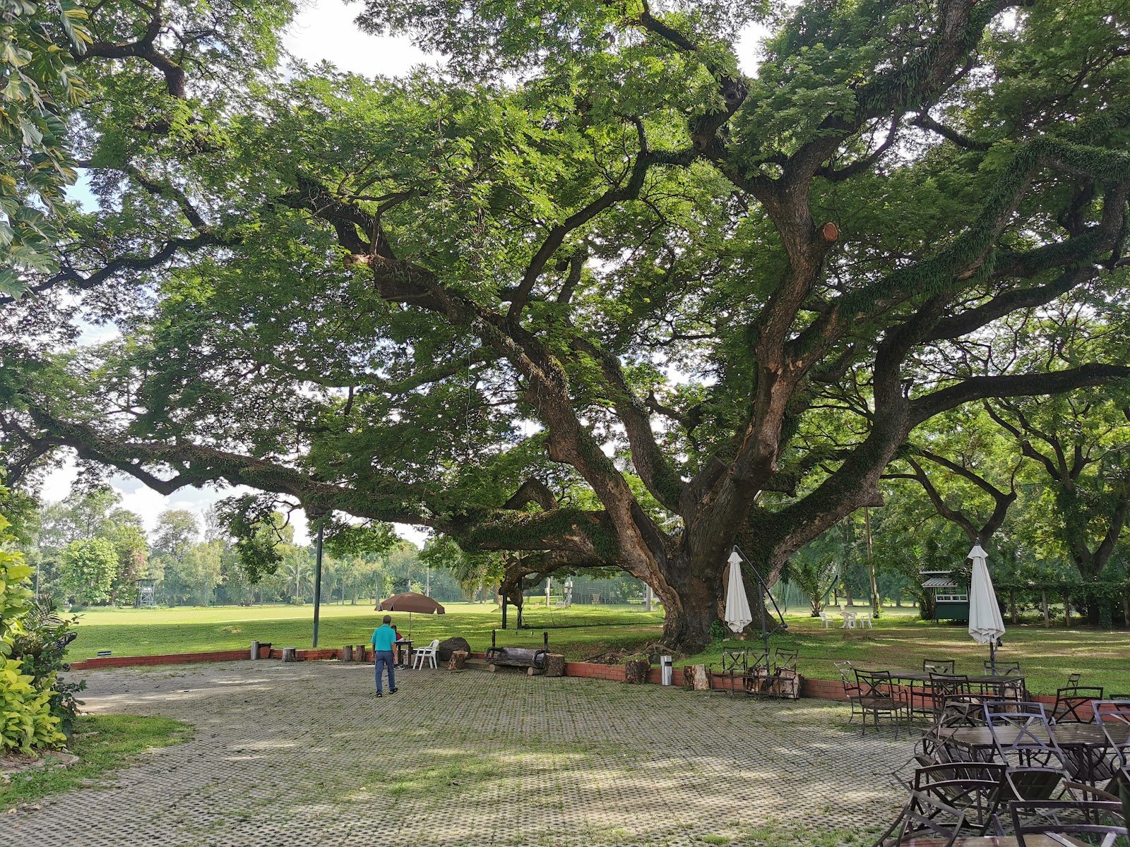 Chiangmai Gym Khana Club