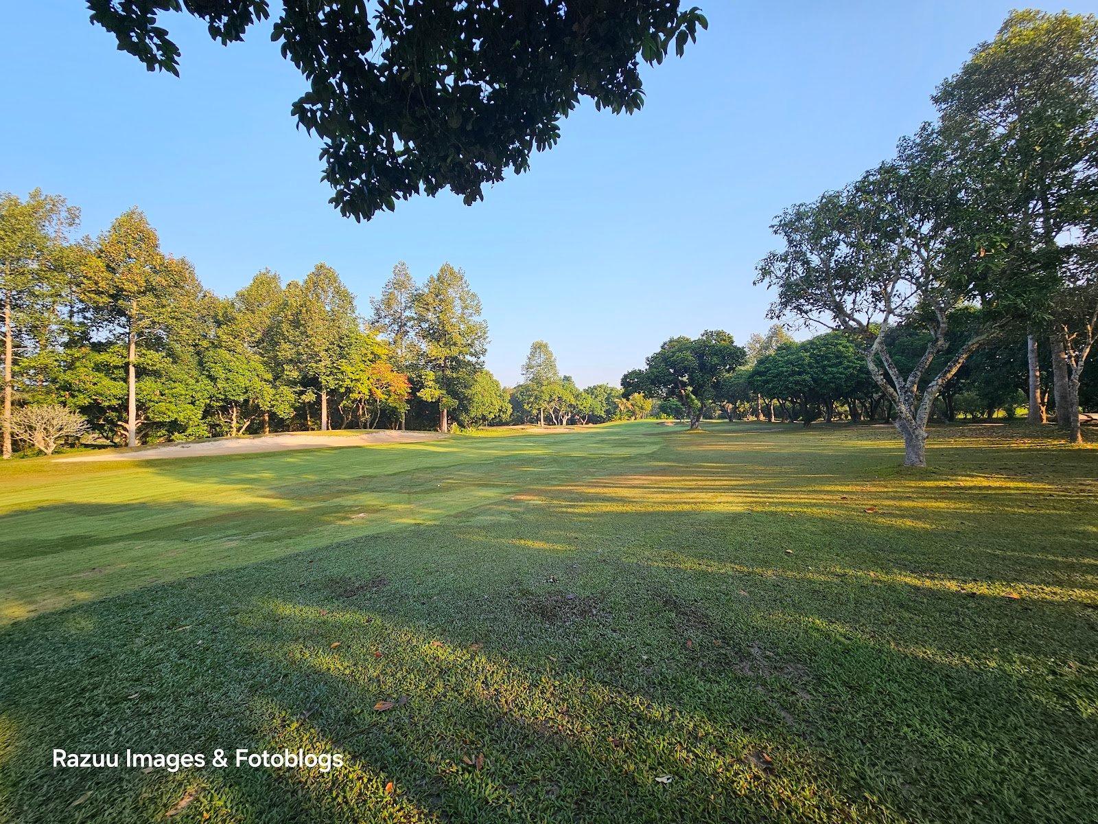Mae Jo Golf Club and Resort golf course photo 7