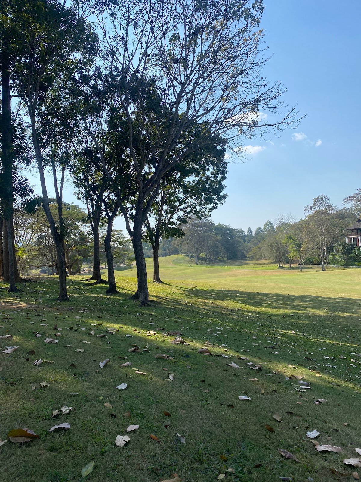 Santiburi Country Club golf course photo 7
