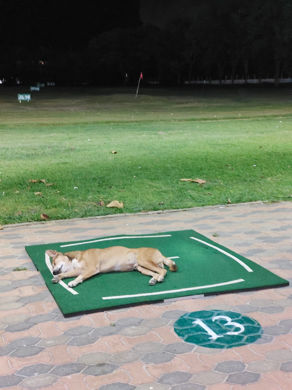 Panurangsri Golf Course golf course photo 4