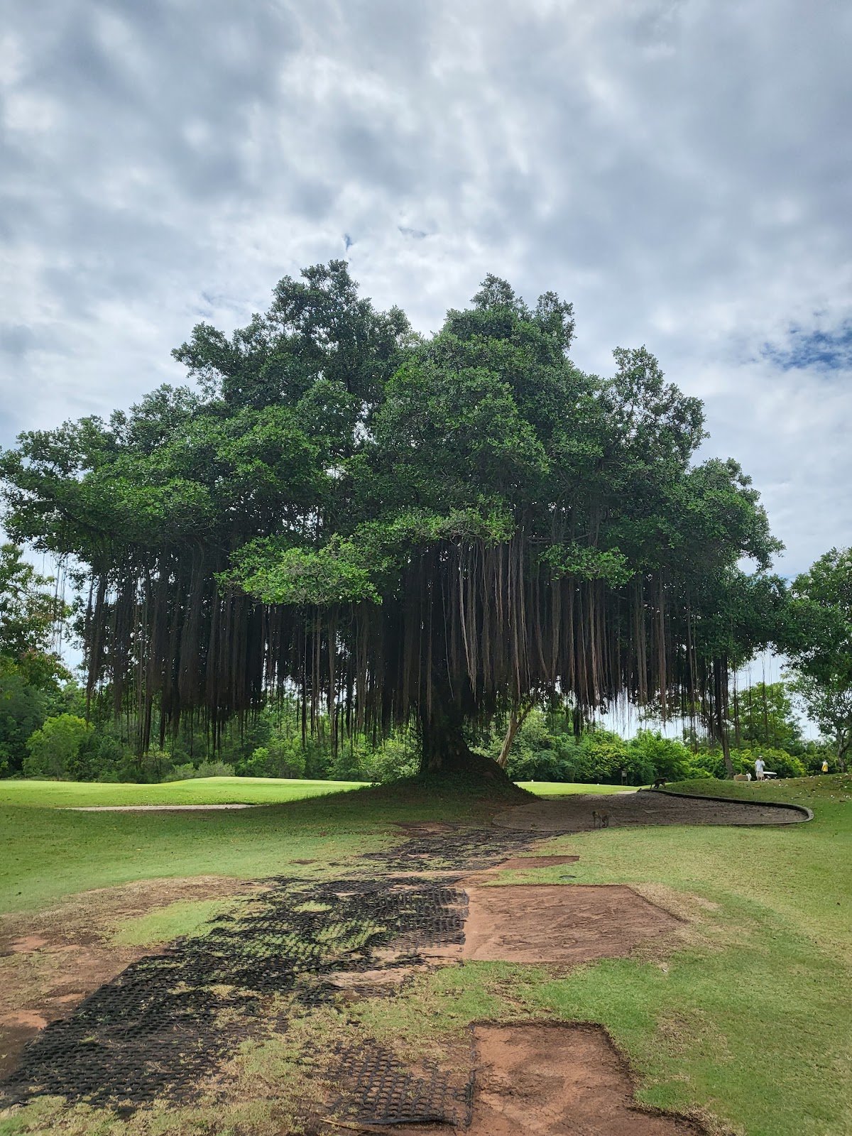Royal Ratchaburi Golf Club golf course photo 6