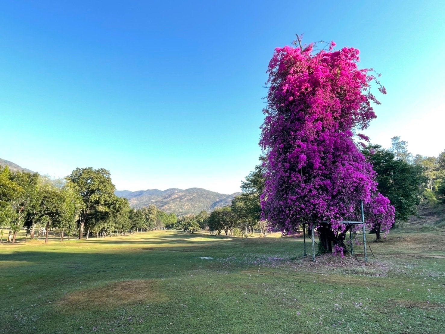 Bhumibol Dam Golf Course golf course photo 4