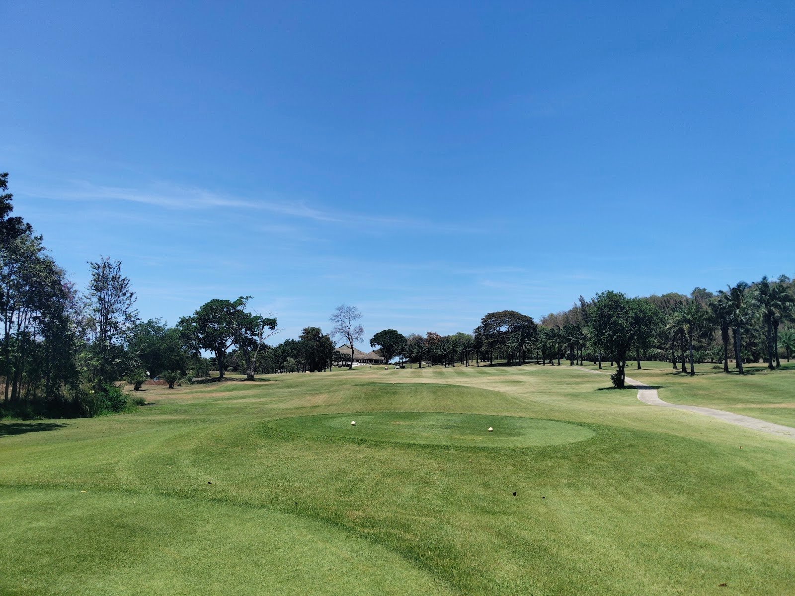 Palm Hills Golf Club golf course photo 6