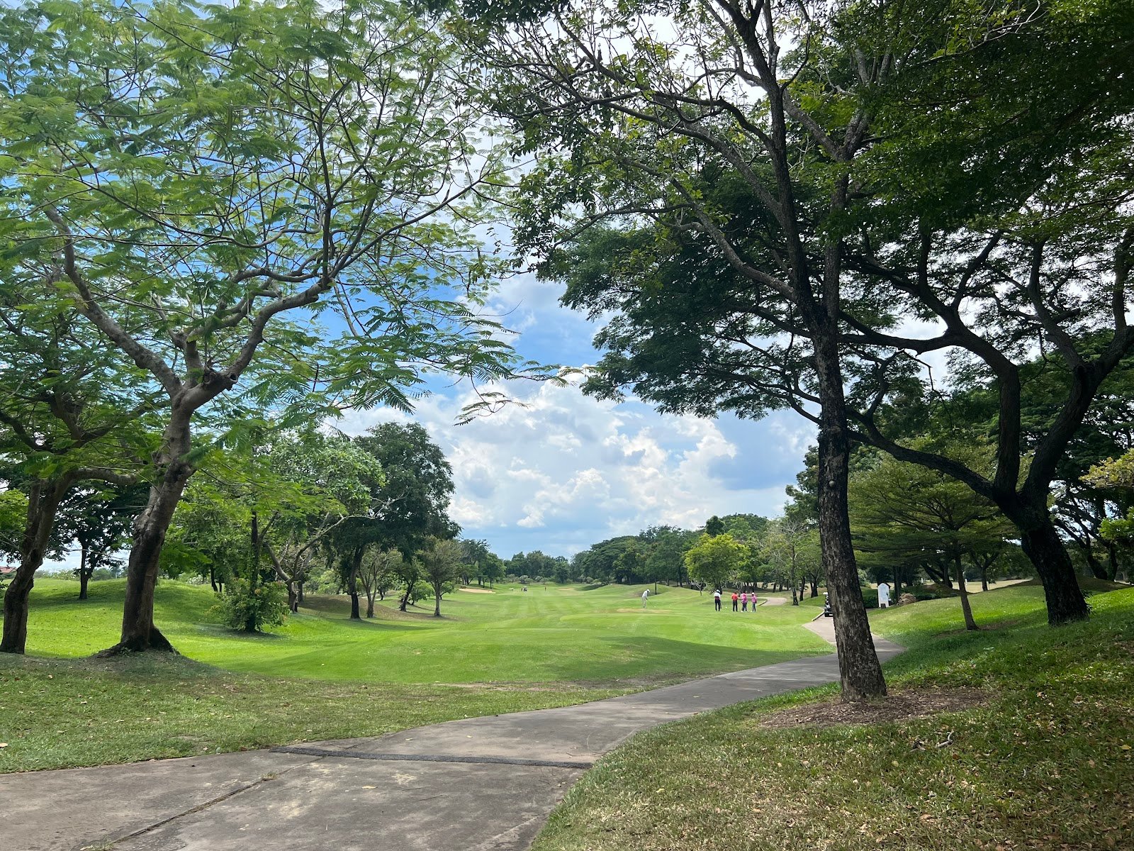 Springfield Royal Country Club golf course photo 6