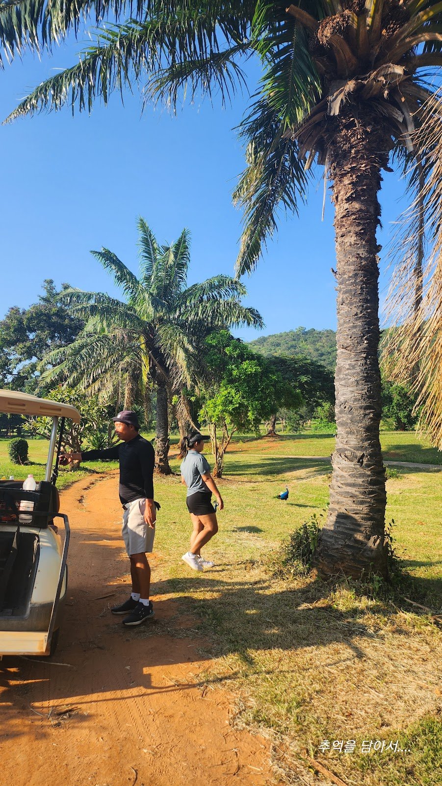 Milford Golf Club (Hua Hin Seoul Country Club) golf course photo 2