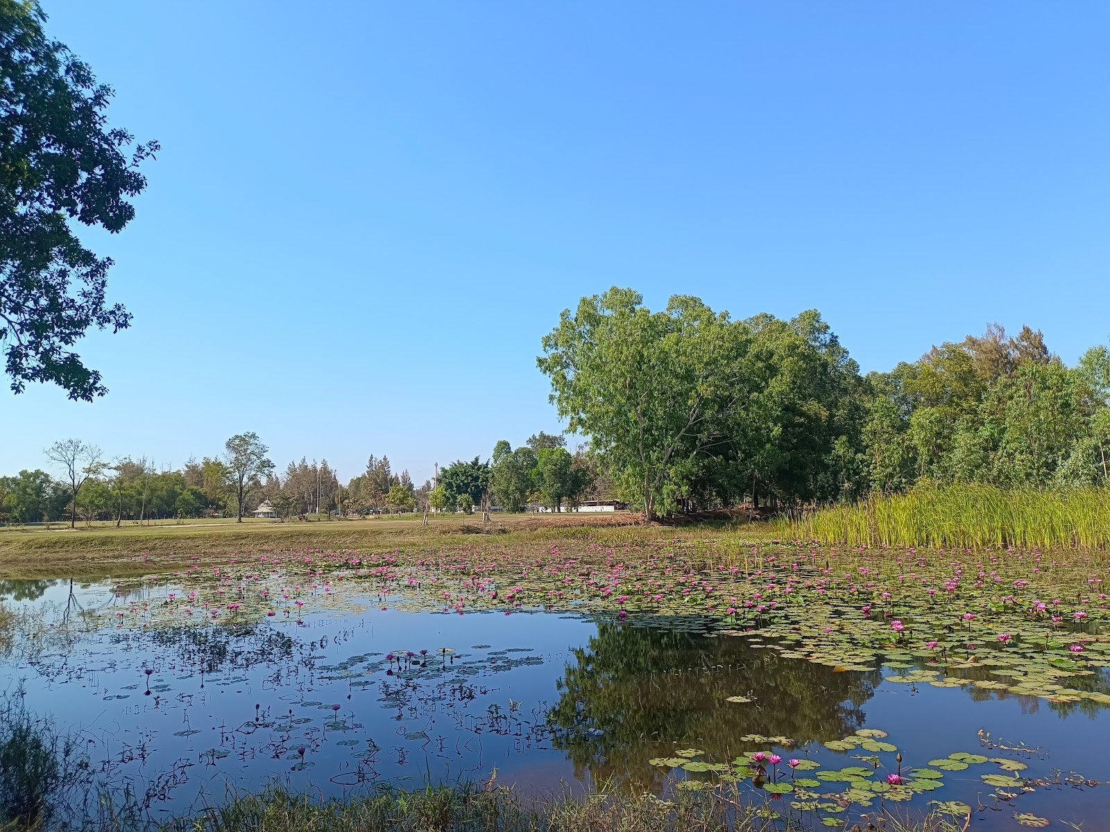 Praphasi Golf Club golf course photo 4