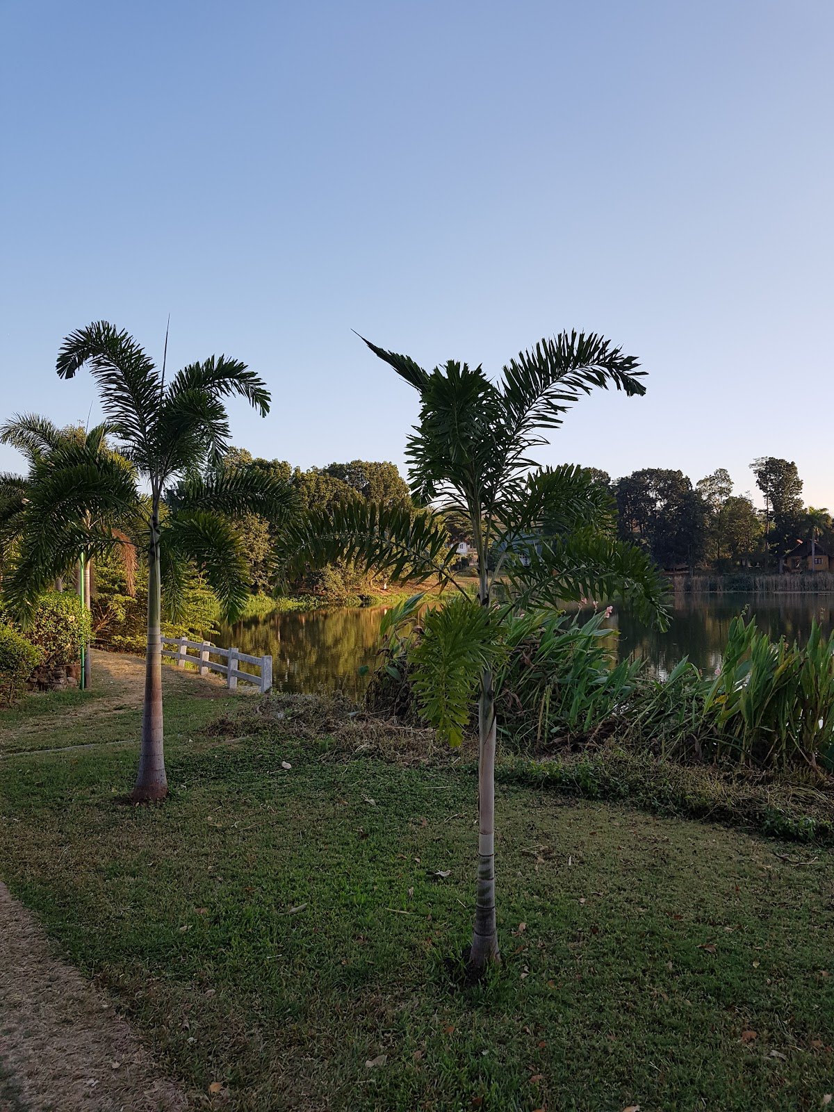 Panorama Golf and Country Club golf course photo 8