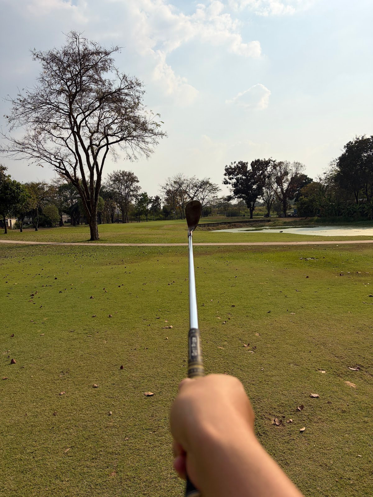 Tiger Wing Golf Club golf course photo 4