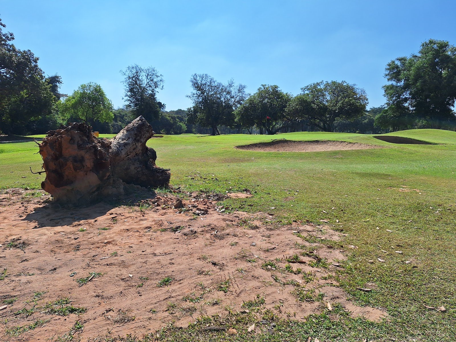 Tiger Wing Golf Club golf course photo 8
