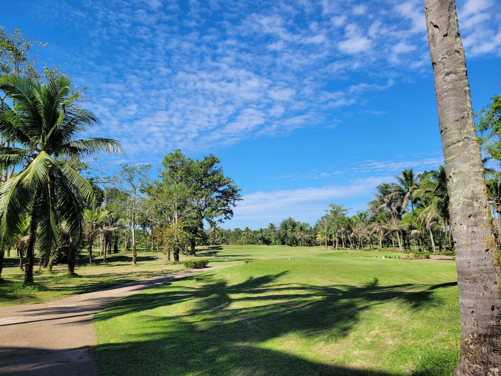 Victory Park Golf and Country Club golf course photo 2
