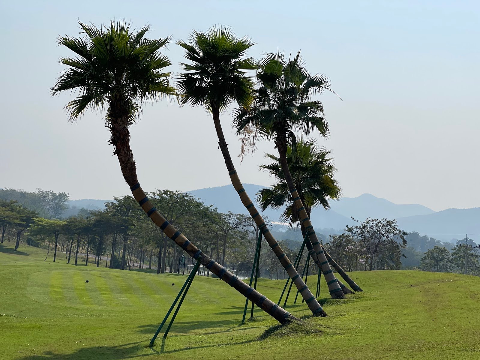 Grand Prix Golf Club golf course photo 6
