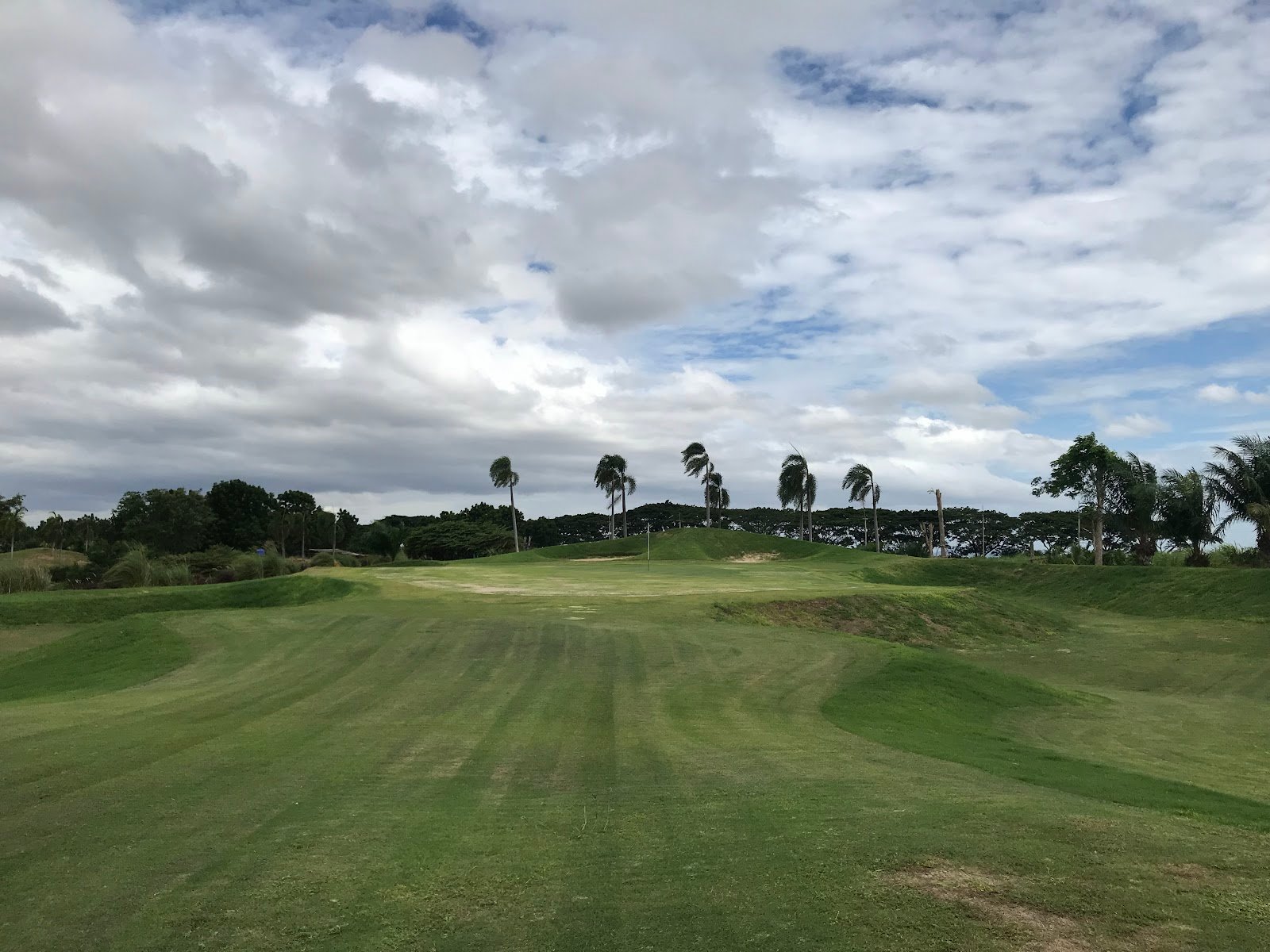Blue Star Golf Course golf course photo 2