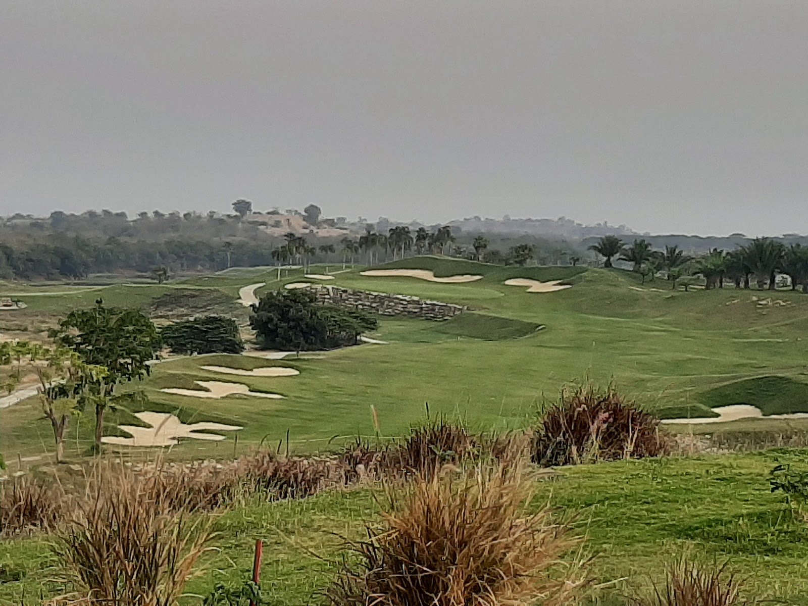 Blue Star Golf Course golf course photo 3