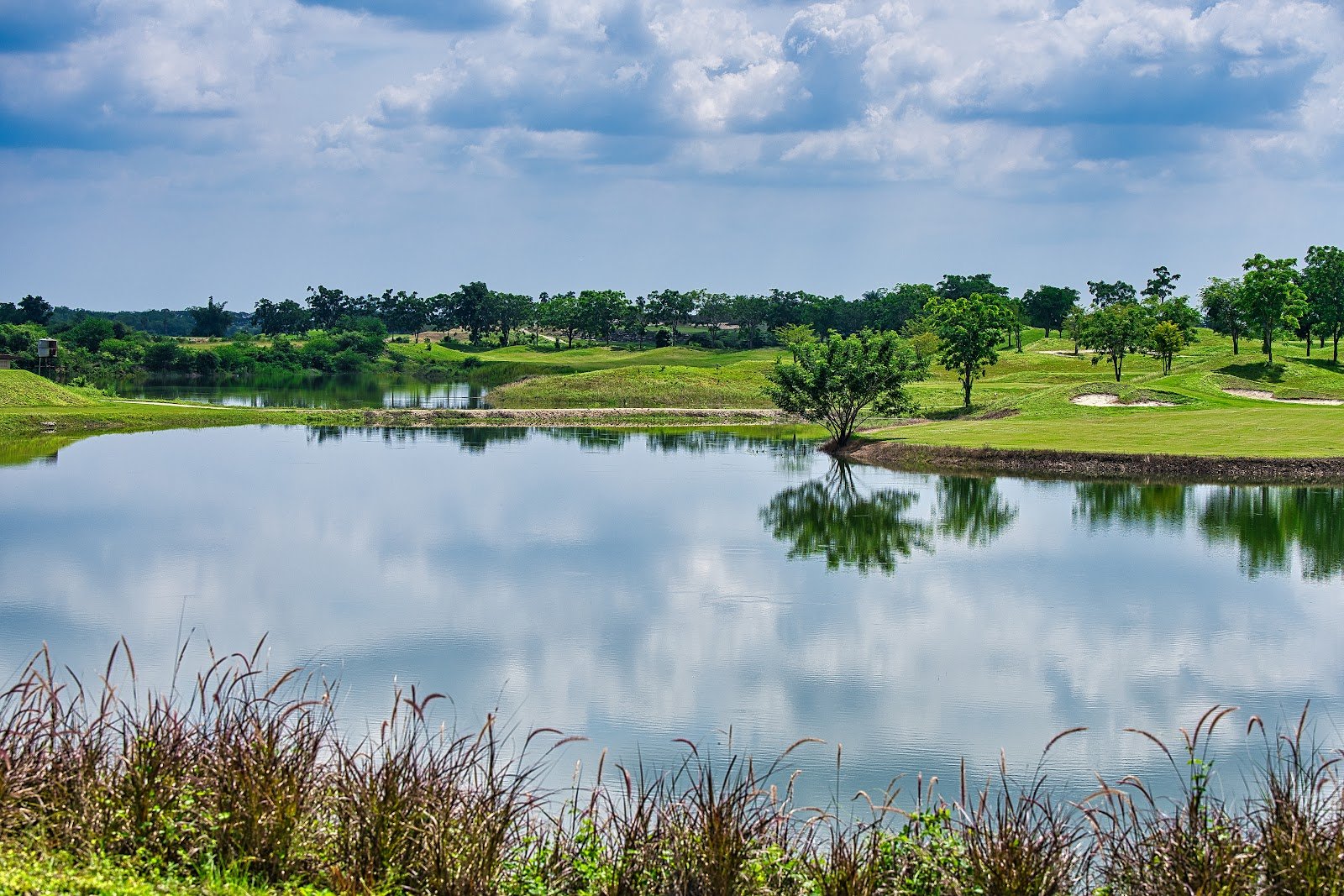 Blue Star Golf Course golf course photo 4