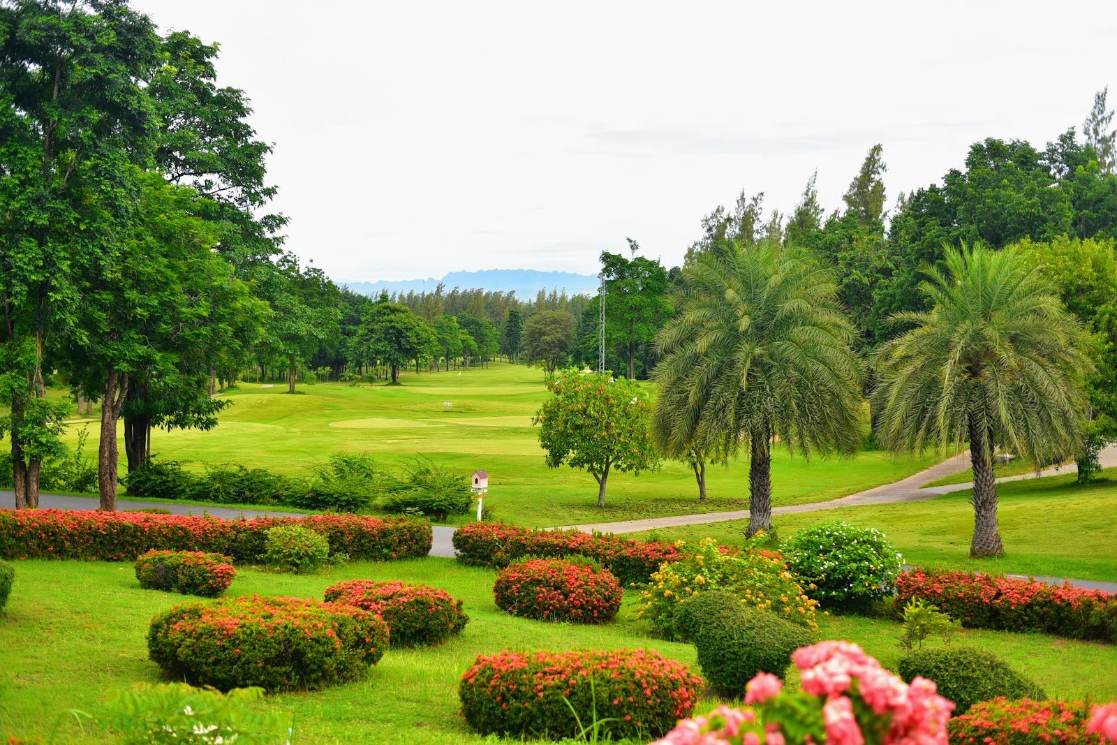 Evergreen Hills Golf Club and Resort golf course photo 5
