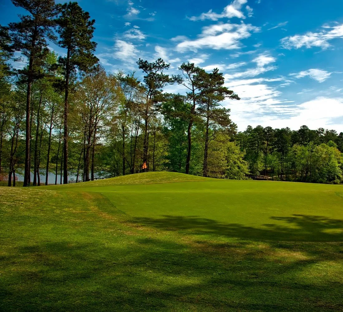 Mountain Creek Golf golf course photo 8
