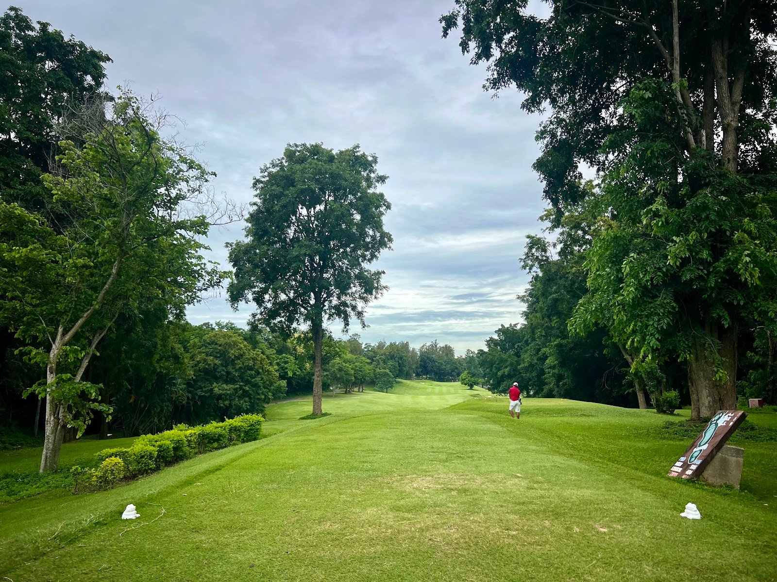 Forest Hills Country Club (Sir James Country Club) golf course photo 5