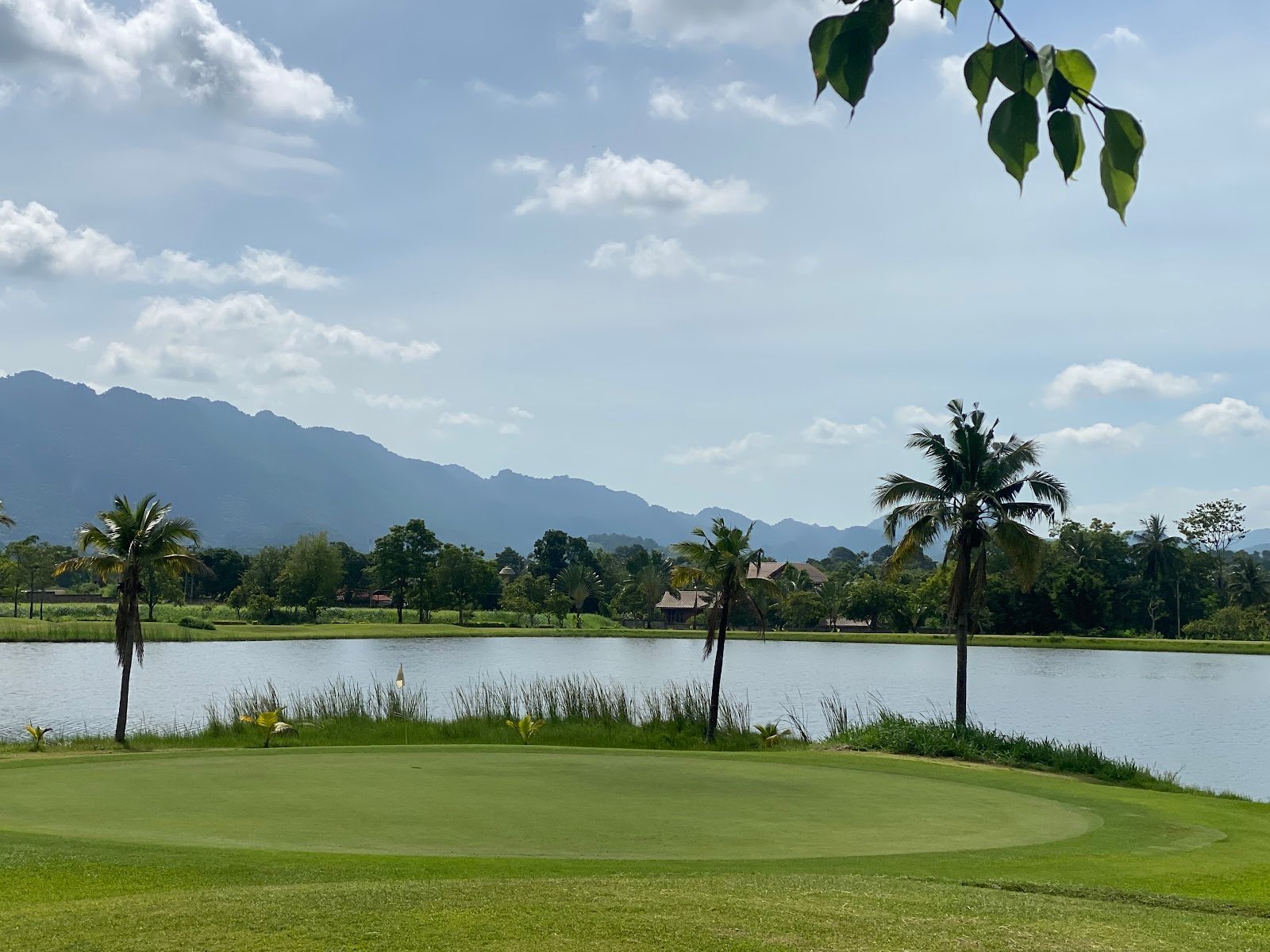 Forest Hills Country Club (Sir James Country Club) golf course photo 6