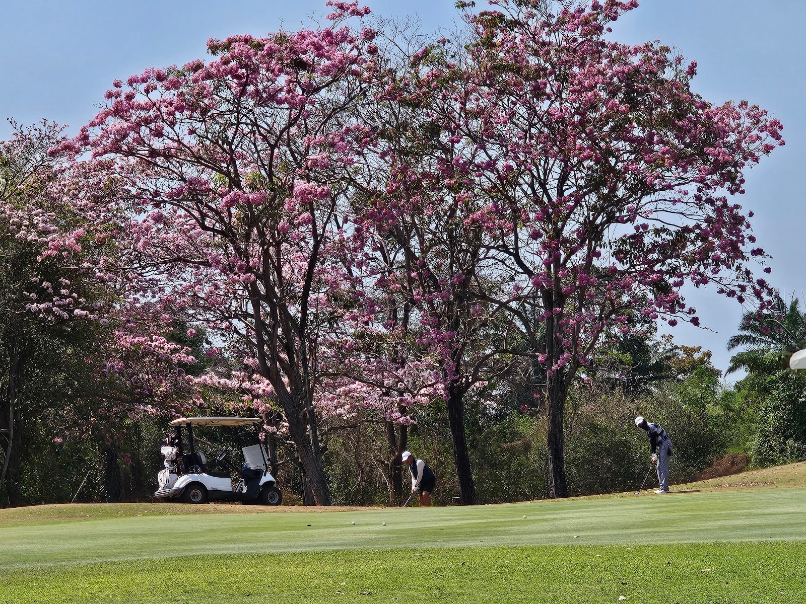 Crystal Bay golf course photo 8