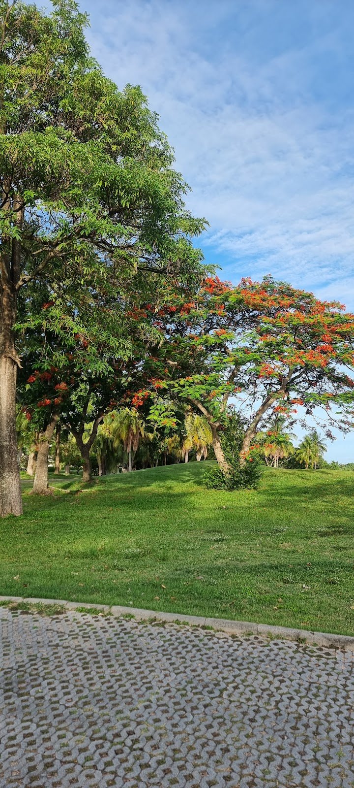 Eastern Star Golf Course golf course photo 6