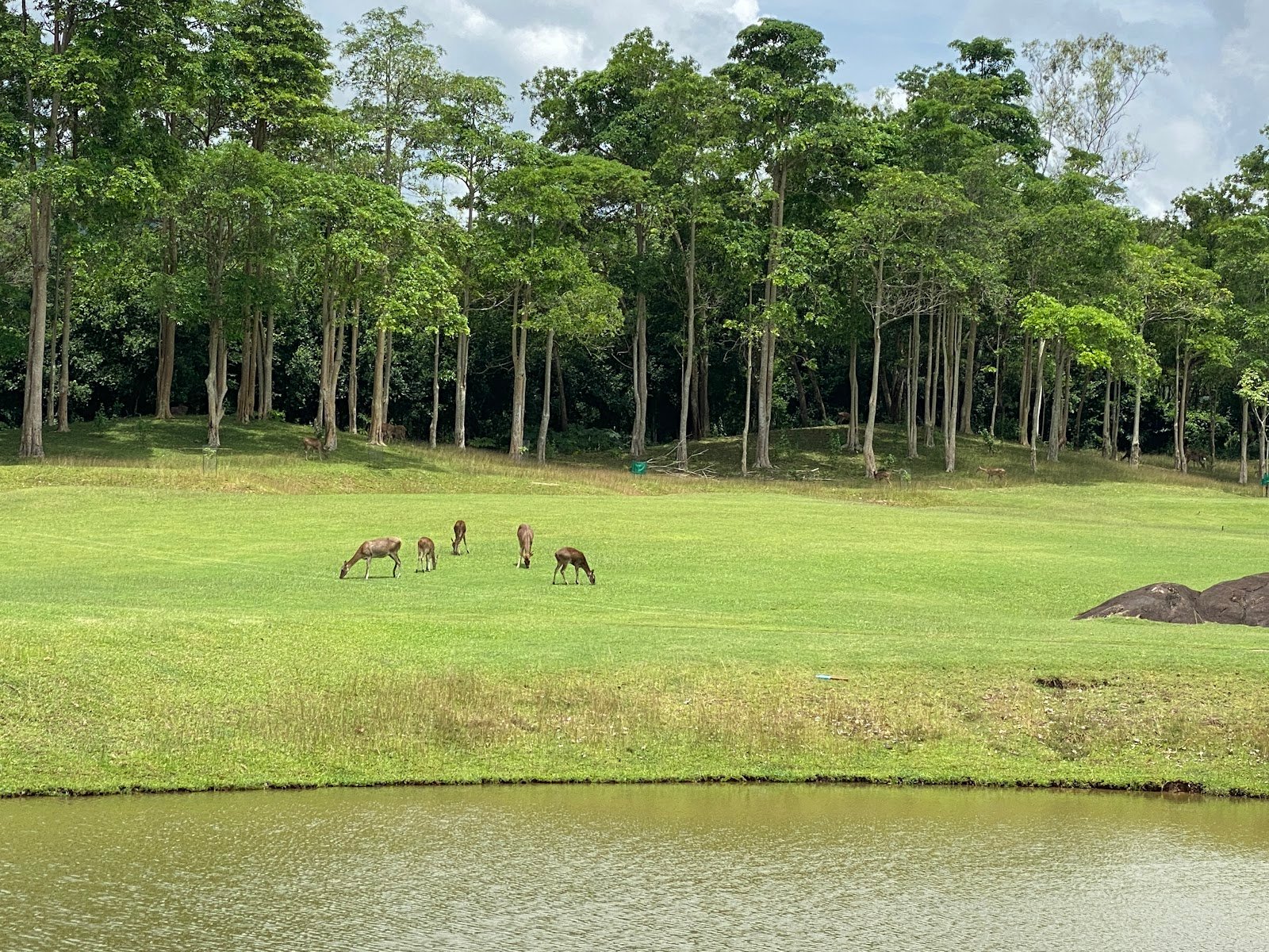 Wangjuntr Golf Park golf course photo 4