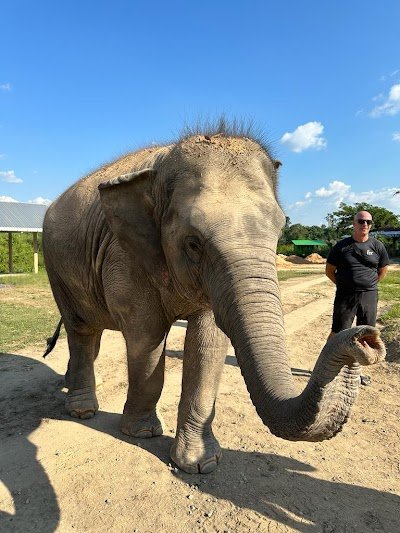 Elephant Retirement Park