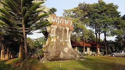 ภูพฤกษารีสอร์ท