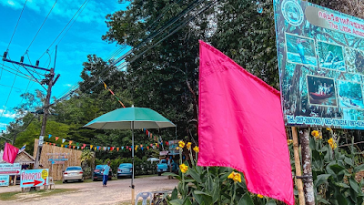 The Little Amazon Takuapa