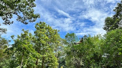 Tree Top Adventure Park Hua Hin