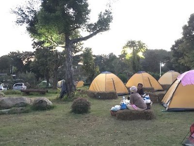 Lakeview Resort