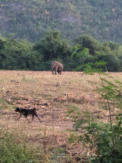 Salakpra Wildlife Sanctuary